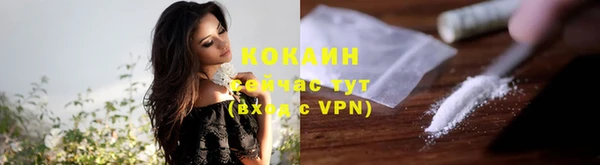 сатива Бикин