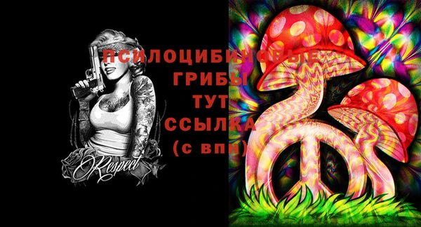 соль курить ск Корсаков