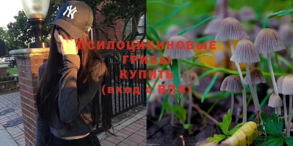 сатива Бикин