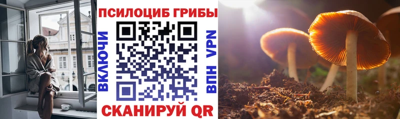 Галлюциногенные грибы Magic Shrooms  как найти наркотики  KRAKEN маркетплейс  Мышкин 